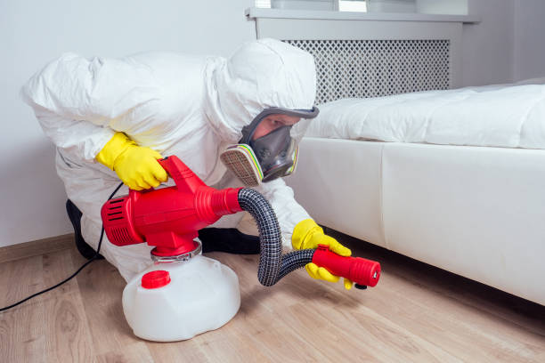 Best Pest Prevention Services  in Merryville, LA